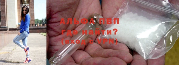 ешки Вязьма