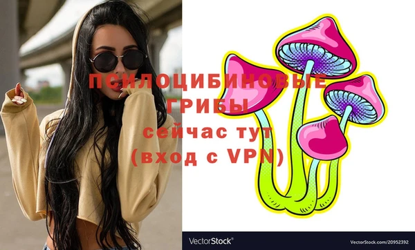 гидра Вязники