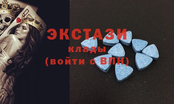 гидра Вязники